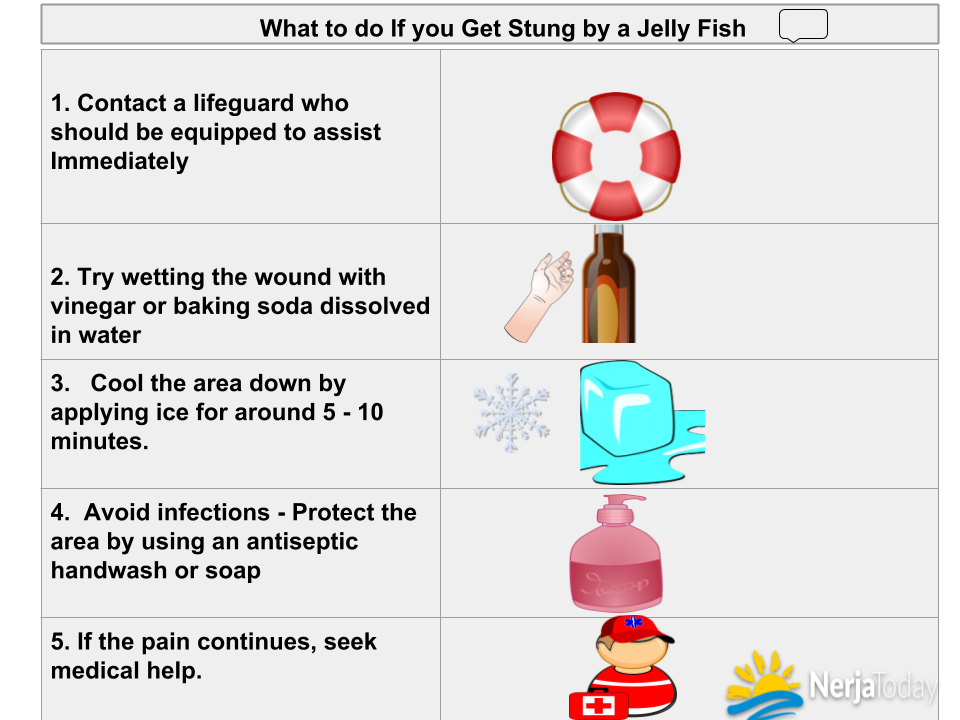 what to do if a jellyfish stings you in Spain