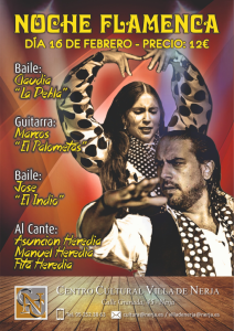 flamenco in nerja