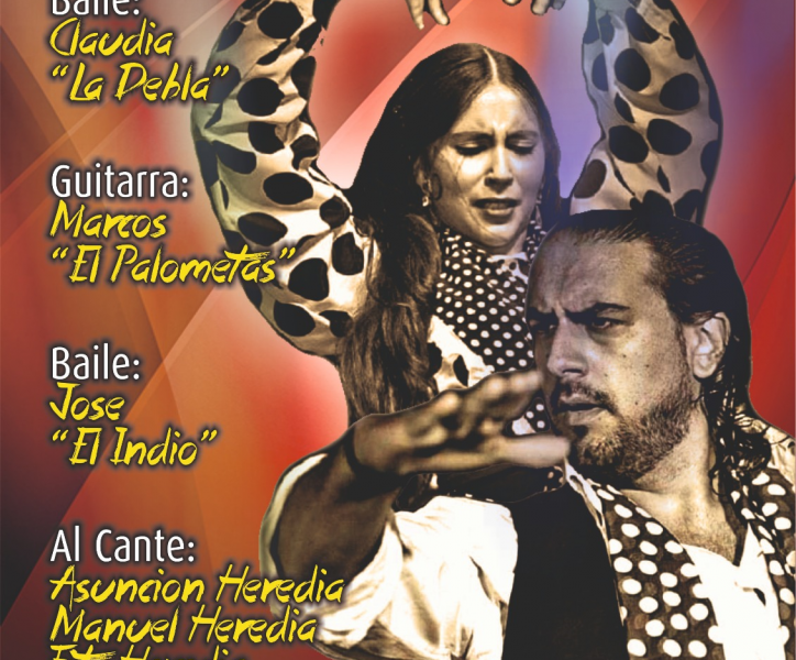 flamenco in nerja