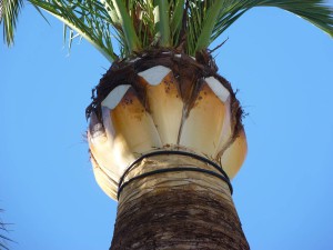 Balcón de Europa, Nerja