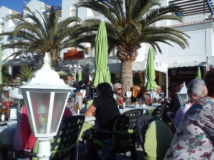 BambooJan1st1 Bamboo, Nerja