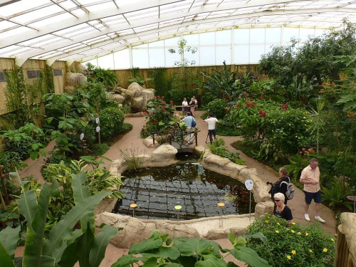 Butterfly Park, Benalmádena