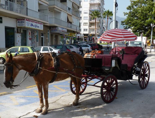 Carriage rides, Nerja