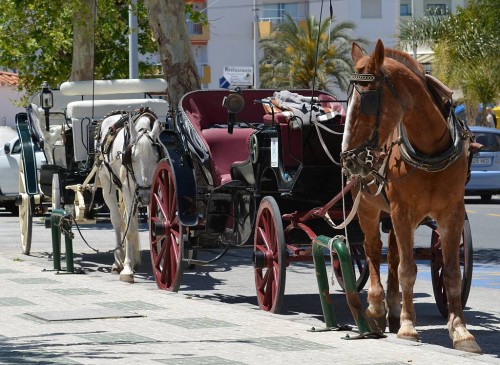 Carriage Rides, Nerja