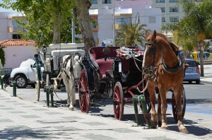 carriages, Nerja