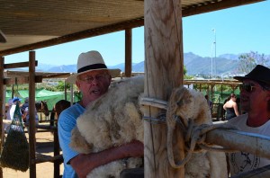 Nerja Donkey Sanctuary