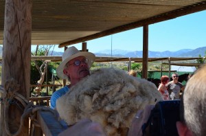 Nerja Donkey Sanctuary