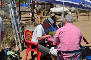 Nerja Donkey Sanctuary