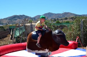 Nerja Donkey Sanctuary