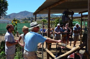 Nerja Donkey Sanctuary