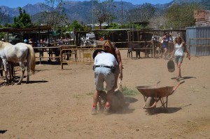 Nerja Donkey Sanctuary