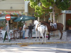 Feria2011d Nerja Feria 2011