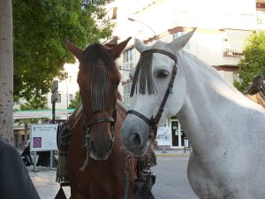 Feria2011g Nerja Feria 2011