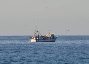 Fishing boat, Calahonda beach, Nerja