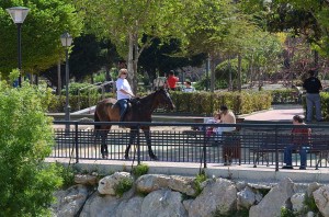 Horse, Nerja