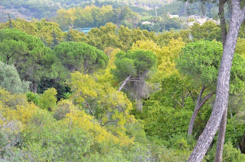 Botanical Garden, Málaga