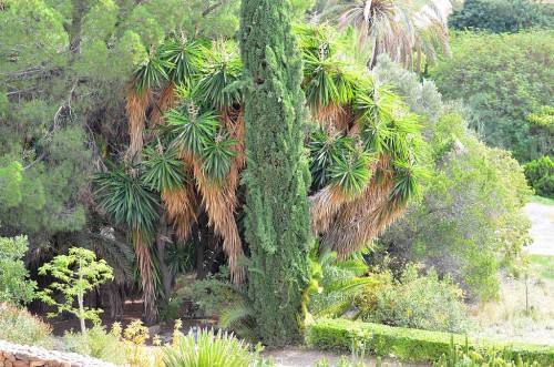 Botanical Garden, Málaga
