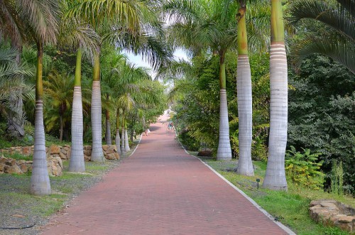 Botanical Garden, Málaga