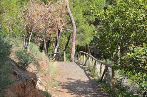 Botanical Garden, Málaga