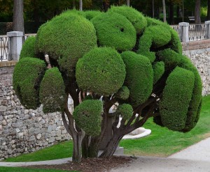 Retiro Park, Madrid