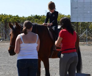 Nerja Donkey Sanctuary Fair