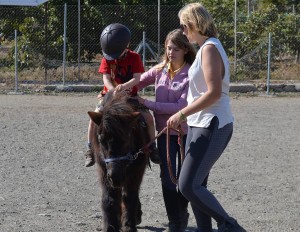 Nerja Donkey Sanctuary Fair