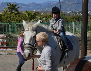 Nerja Donkey Sanctuary Fair