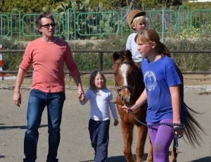 Nerja Donkey Sanctuary Fair