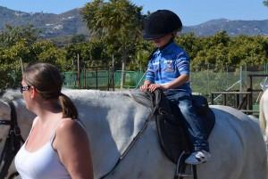 Nerja Donkey Sanctuary Fair