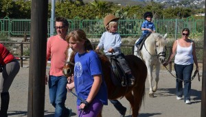 Nerja Donkey Sanctuary Fair