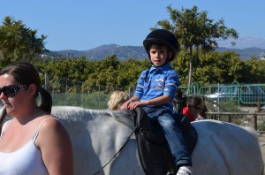 Nerja Donkey Sanctuary Fair