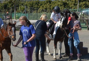 Nerja Donkey Sanctuary Fair