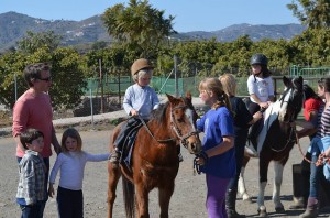 Nerja Donkey Sanctuary Fair