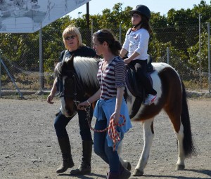 Nerja Donkey Sanctuary Fair