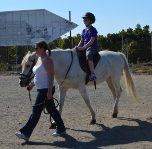 Nerja Donkey Sanctuary Fair