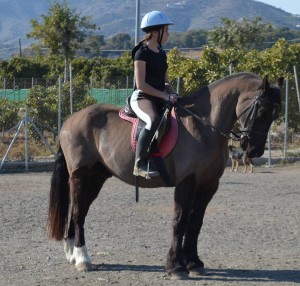 Nerja Donkey Sanctuary Fair