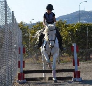 Nerja Donkey Sanctuary Fair