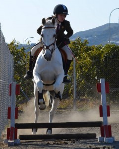 Nerja Donkey Sanctuary Fair