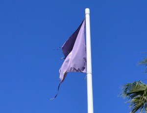 Rapto de Europa, Nerja