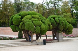 Retiro Park, Madrid