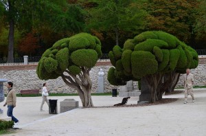 Retiro Park, Madrid