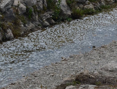 rio Chillar, Nerja