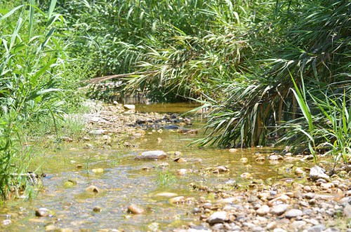 rio Chillar, Nerja