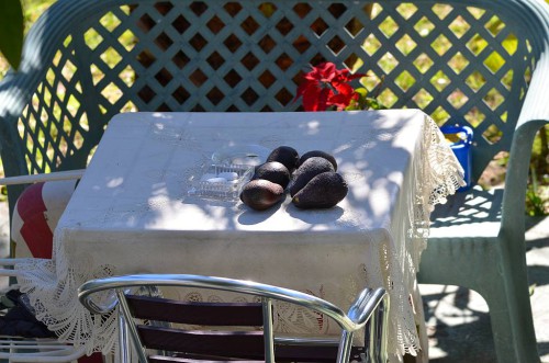 ripening avocados