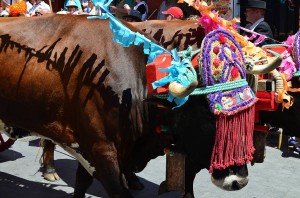 San Isidro 2013, Nerja