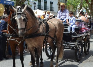 San Isidro 2012, Nerja