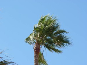 Torrecilla beach, Nerja