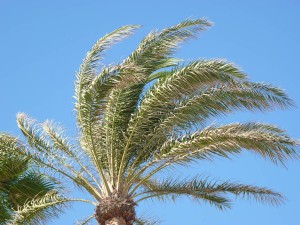 Torrecilla beach, Nerja