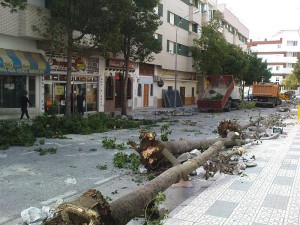 calle Antonio Millon, Nerja