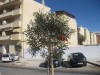 Avenida Mediterraneo, Nerja